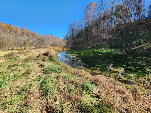 0 Taurus Farm Rd, Lafayette, TN 37083