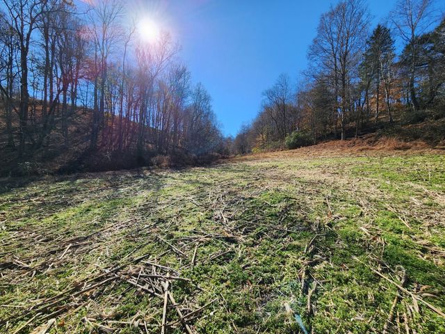 0 Taurus Farm Rd, Lafayette, TN 37083