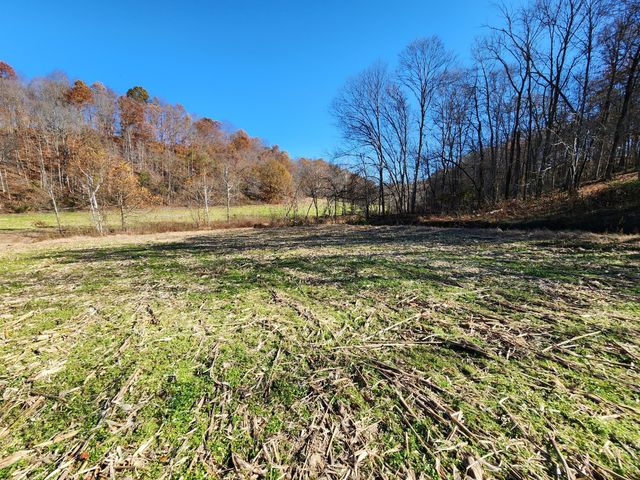 0 Taurus Farm Rd, Lafayette, TN 37083