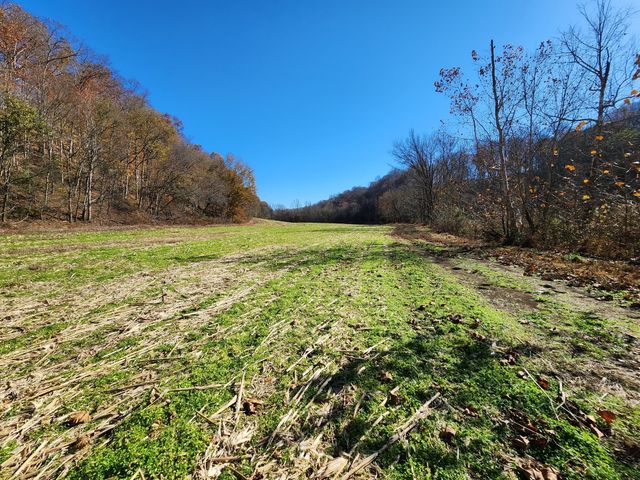 0 Taurus Farm Rd, Lafayette, TN 37083