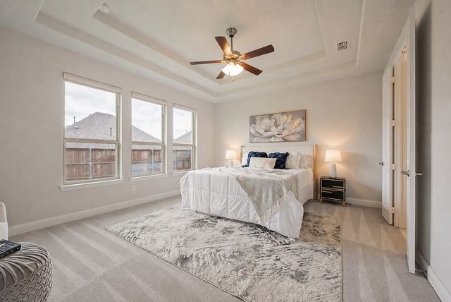 11627 Alejandra Lane, Frisco, TX 75035