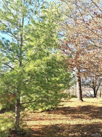 14275 Camden Lane, Dixon, MO 65459