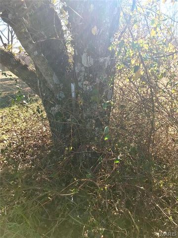 14275 Camden Lane, Dixon, MO 65459