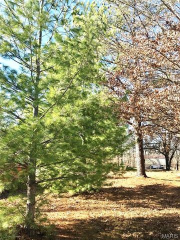 14275 Camden Lane, Dixon, MO 65459