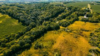 8 ACRES MASTERS Road, Glenwood, IA 51534