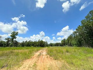 25930 Grand Pines, Magnolia, TX 77355