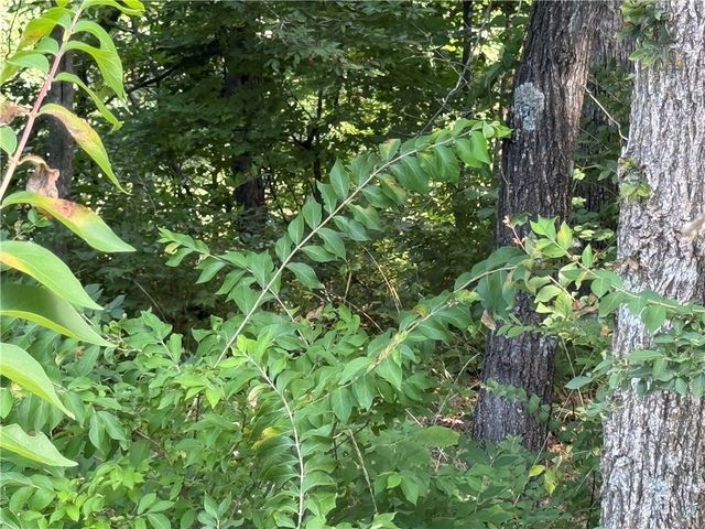 14 Cypress Point Lane 8, Holiday Island, AR 72631