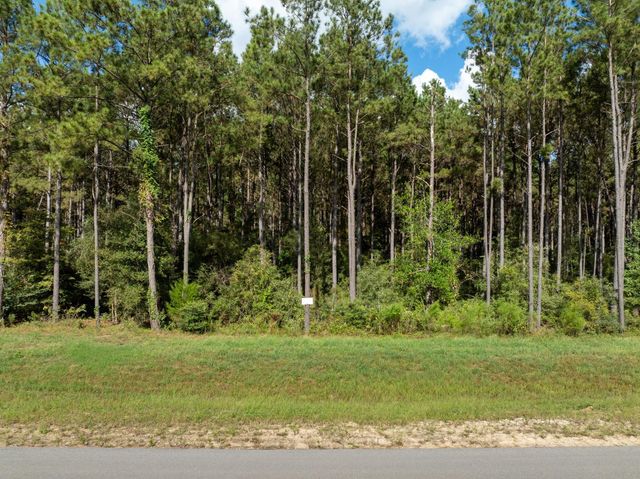 15427 Forest Grove Drive, Willis, TX 77378