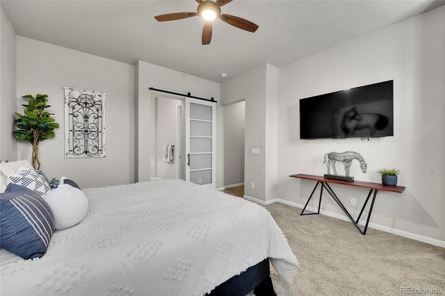 3429 Goodyear Street, Castle Rock, CO 80109