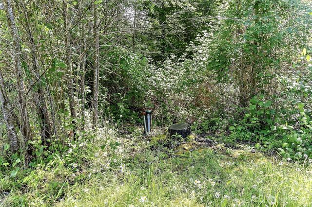 14105 288th Street E, Graham, WA 98338