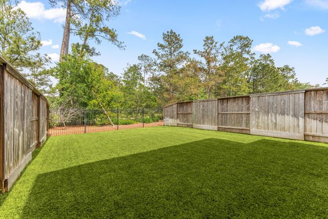 74 Dobbs View Lane, Spring, TX 77389