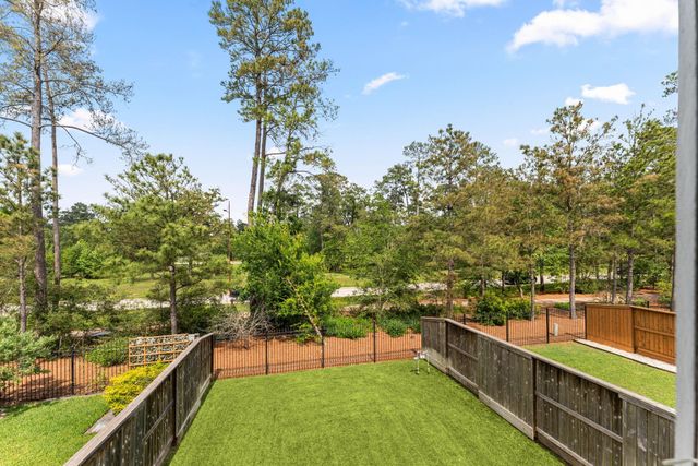 74 Dobbs View Lane, Spring, TX 77389