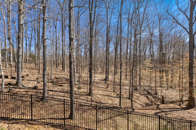 205 Birnam Wood Trce, Clarksville, TN 37043