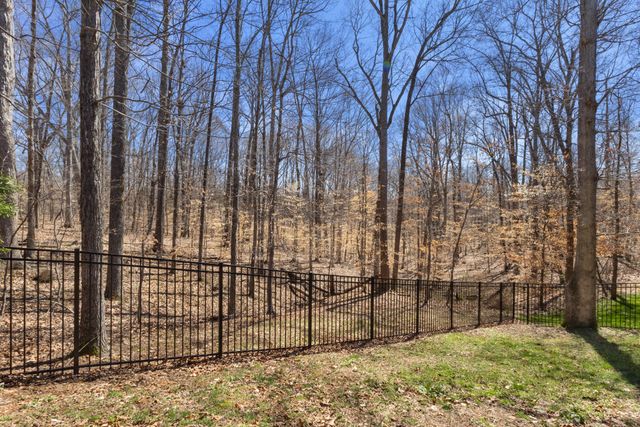 205 Birnam Wood Trce, Clarksville, TN 37043