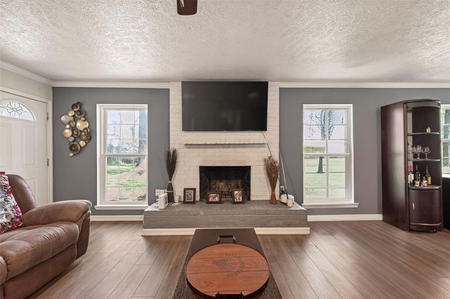 24414 Pine Canyon Drive, Spring, TX 77380