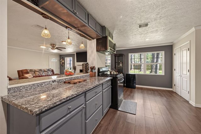 24414 Pine Canyon Drive, Spring, TX 77380