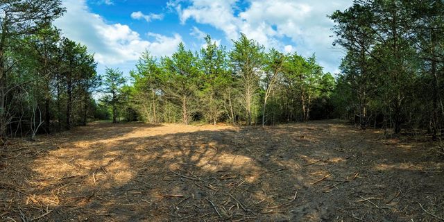 405 Vineyard View Trail - Lot 5, Carmine, TX 78932