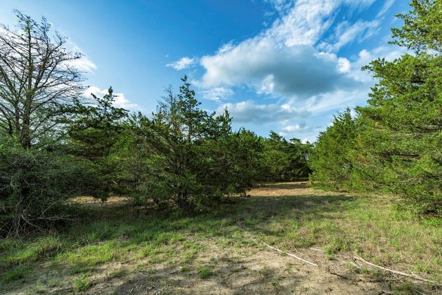 405 Vineyard View Trail - Lot 5, Carmine, TX 78932