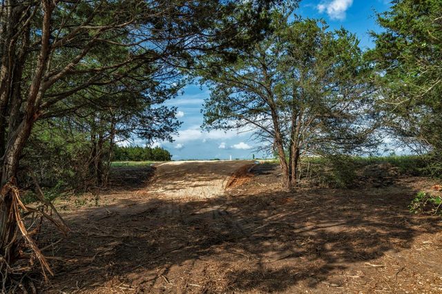 405 Vineyard View Trail - Lot 5, Carmine, TX 78932