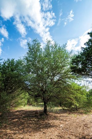 405 Vineyard View Trail - Lot 5, Carmine, TX 78932