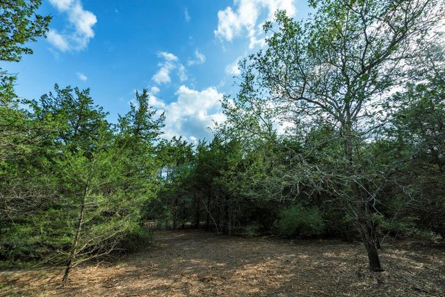 405 Vineyard View Trail - Lot 5, Carmine, TX 78932
