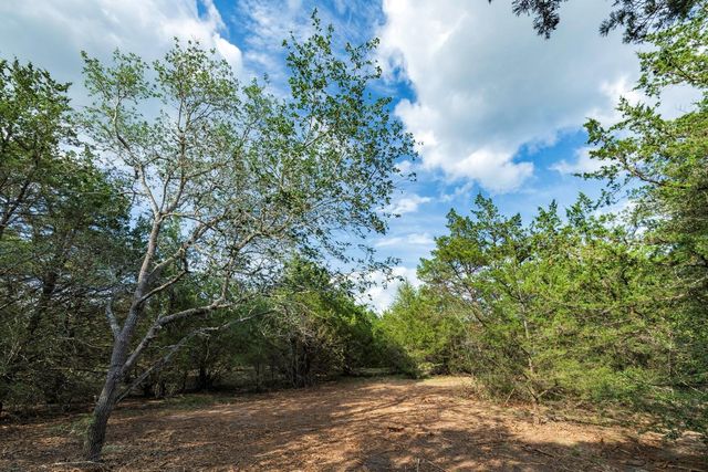 405 Vineyard View Trail - Lot 5, Carmine, TX 78932