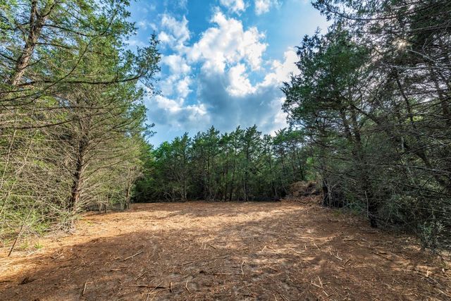 405 Vineyard View Trail - Lot 5, Carmine, TX 78932