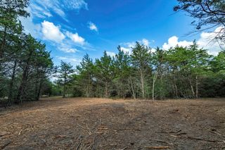 405 Vineyard View Trail - Lot 5, Carmine, TX 78932