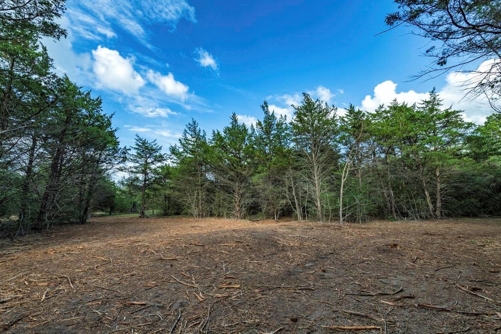 405 Vineyard View Trail - Lot 5, Carmine, TX 78932