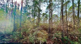 00 Gum Street, Ocean Springs, MS 39564