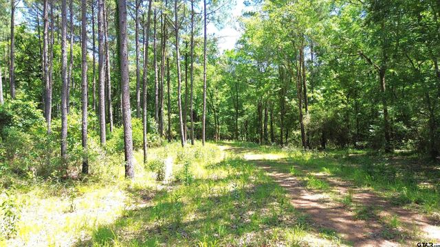 TBD CR 2125, Crockett, TX 75835