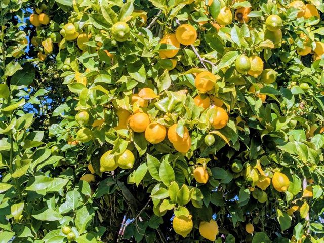 34839 Clover Street, Union City, CA 94587