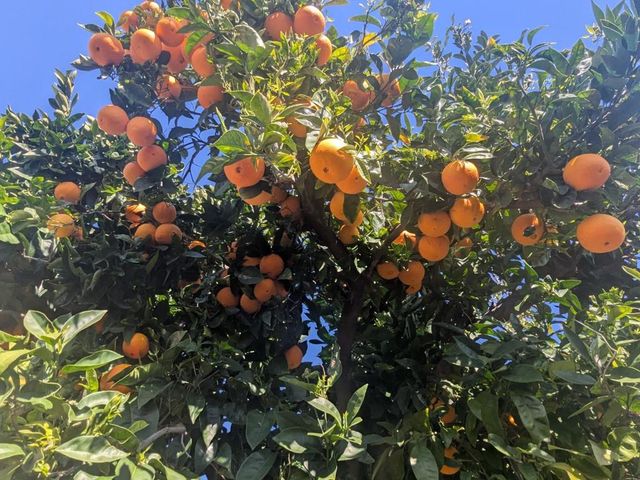 34839 Clover Street, Union City, CA 94587