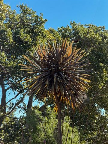 371 Ocean View Ave, Kensington, CA 94707