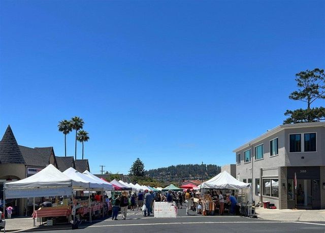 371 Ocean View Ave, Kensington, CA 94707