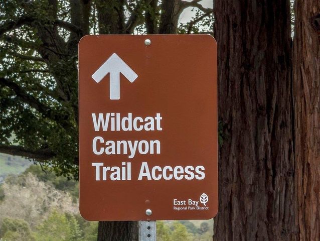 371 Ocean View Ave, Kensington, CA 94707