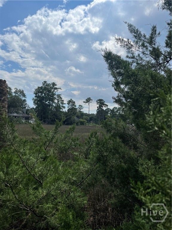 0 Perry Cove, Savannah, GA 31410