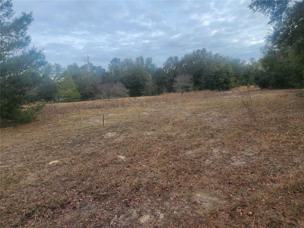 2407 JACKSON STREET, Inverness, FL 34453