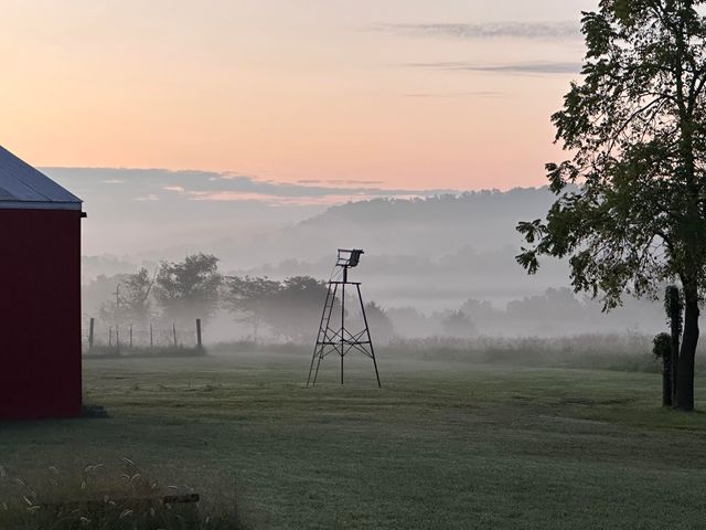 Hc 73 Box 720, Drury, MO 65638