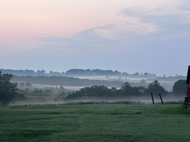 Hc 73 Box 720, Drury, MO 65638