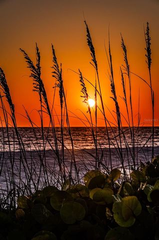 19829 GULF BOULEVARD 501, Indian Shores, FL 33785