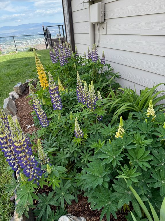 310 Spanish Peaks Drive, Missoula, MT 59803 photo 124