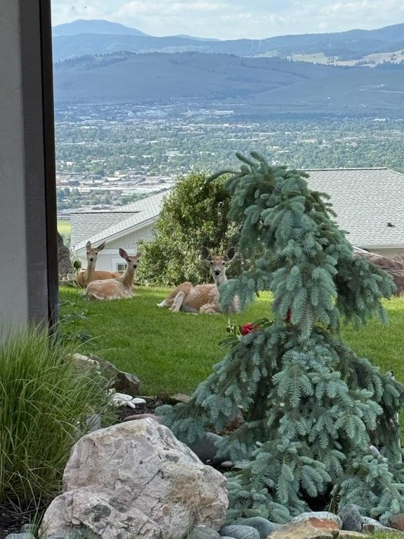 310 Spanish Peaks Drive, Missoula, MT 59803 photo 125