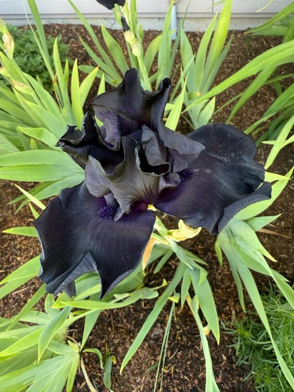 310 Spanish Peaks Drive, Missoula, MT 59803 photo 126