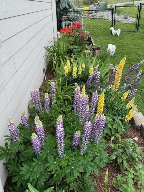 310 Spanish Peaks Drive, Missoula, MT 59803 photo 15