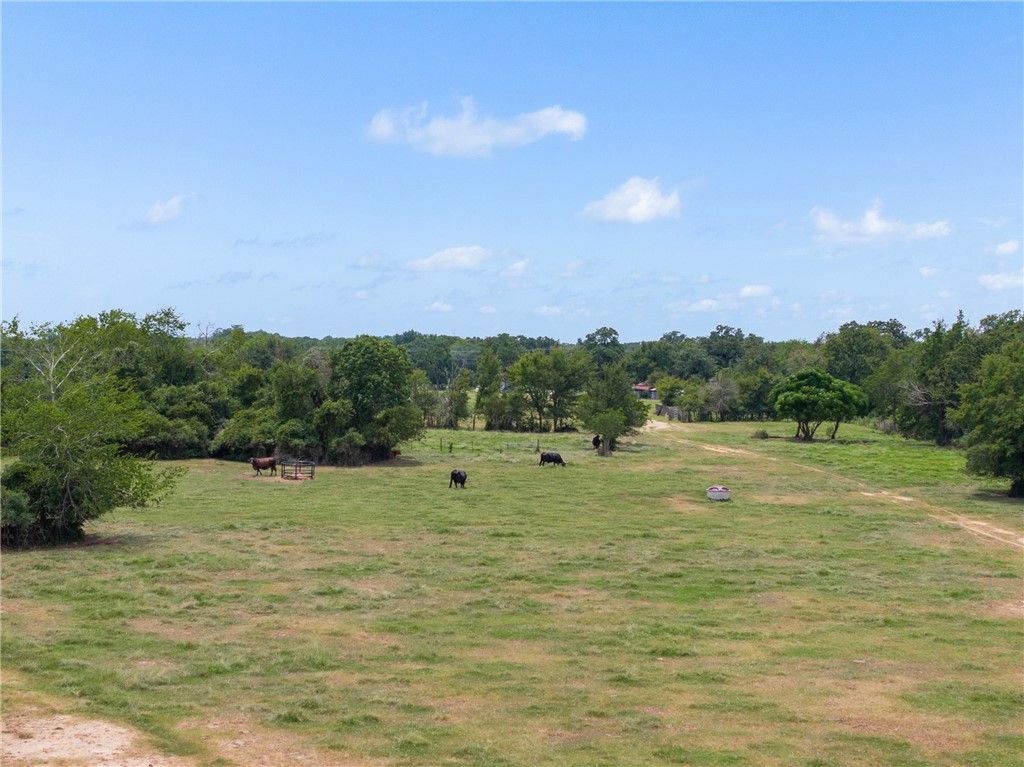 450 AC FM 974, Bryan, TX 77808 — photo 3