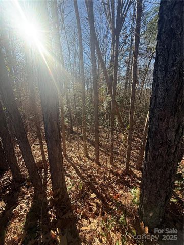 6029 Chaucer Lane, Granite Falls, NC 28630