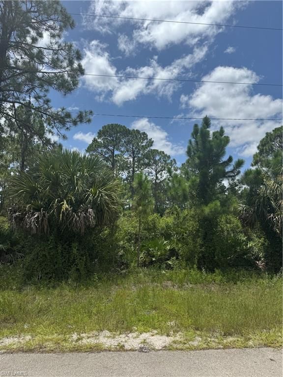 3315 70th ST W, LEHIGH ACRES, FL 33971 — photo 2