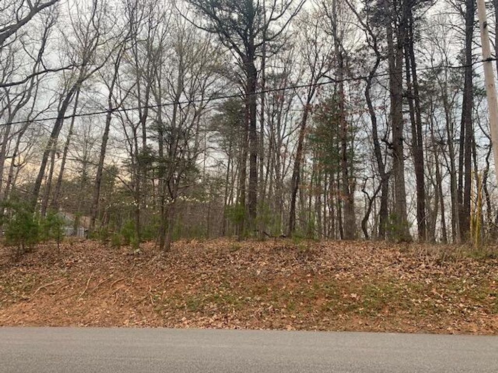 Lot 75 Forest Lawn DR, Moneta, VA 24121