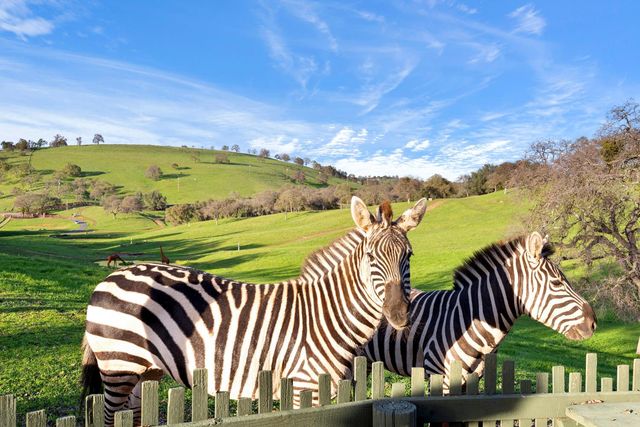 7270 Sutter Ione Rd, Ione, CA 95640